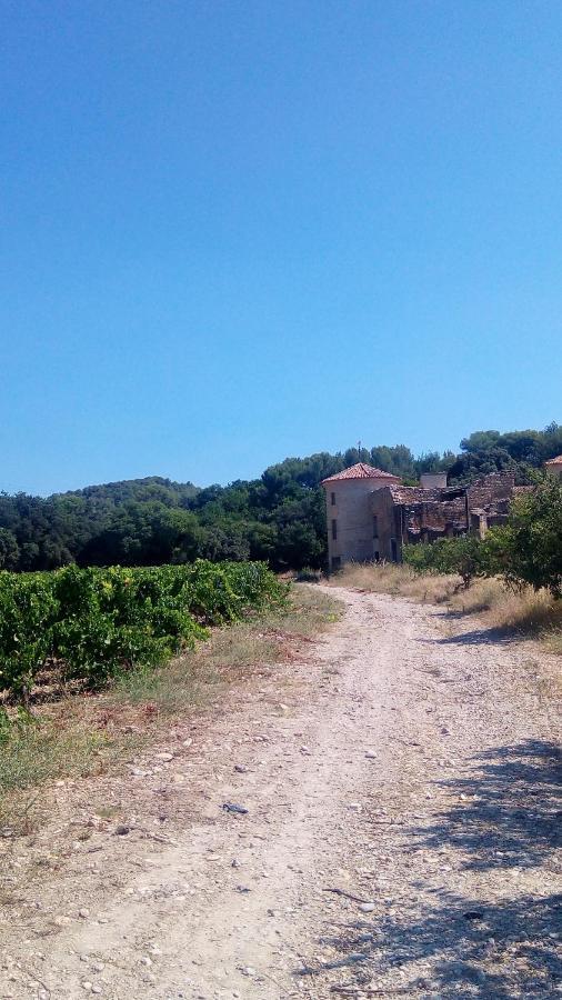 Bed and Breakfast Les Cigales à Villelaure Extérieur photo