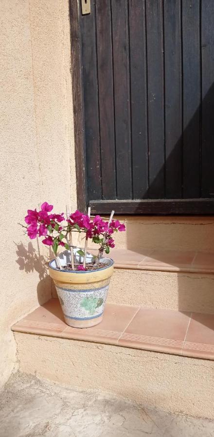 Bed and Breakfast Les Cigales à Villelaure Extérieur photo